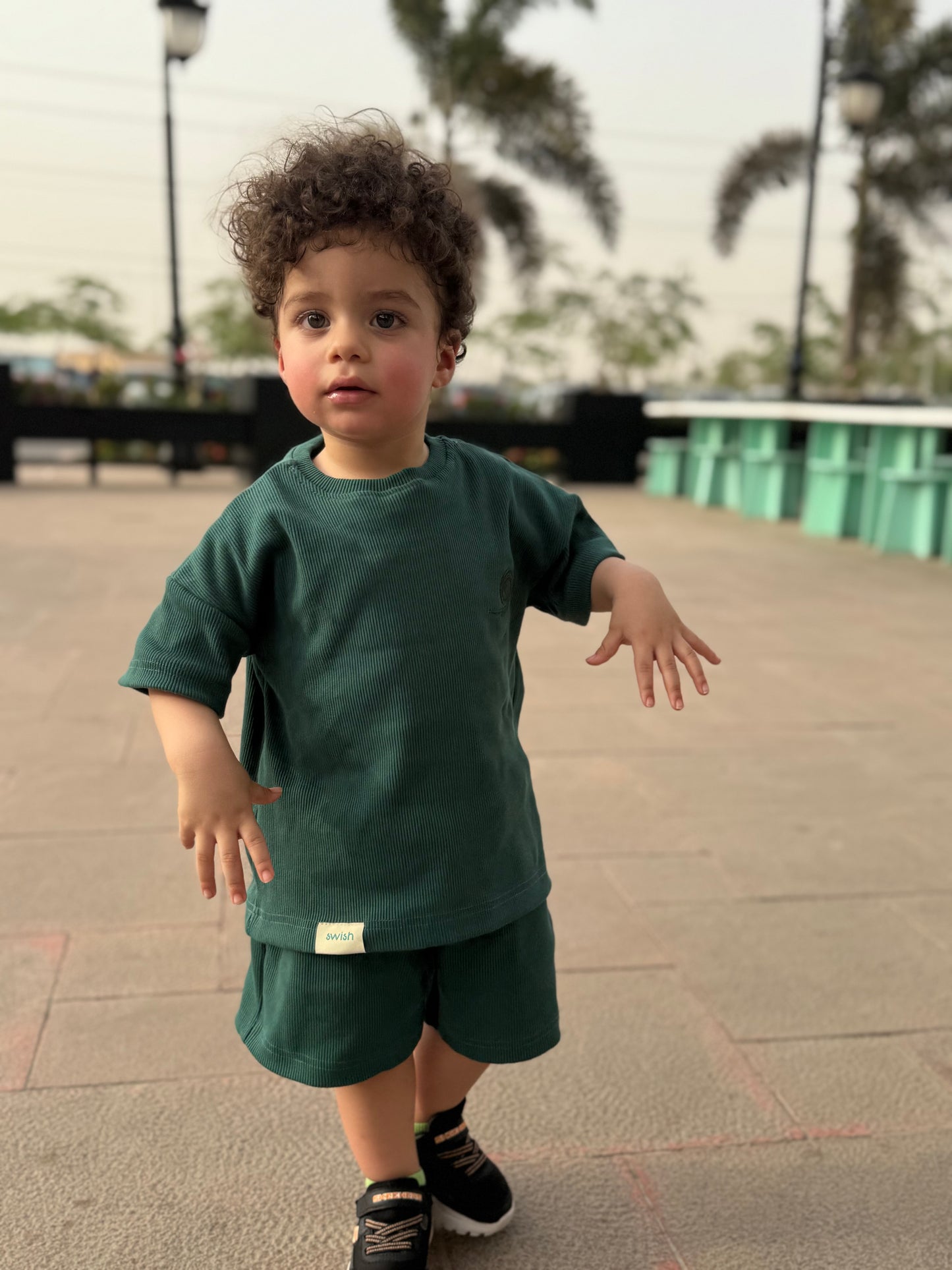 The Flow Set – Forest Mist